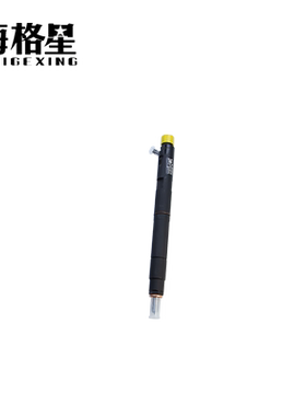 28599713 28231014 9308-625C适用德尔福原厂喷油器长城炮哈佛H56