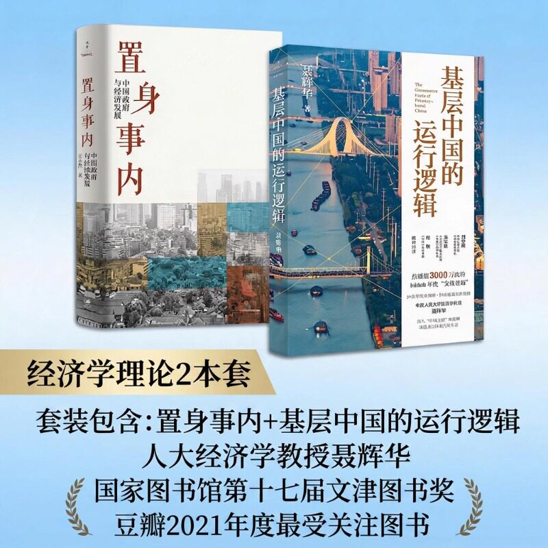 基层中国的运行逻辑+置身事内