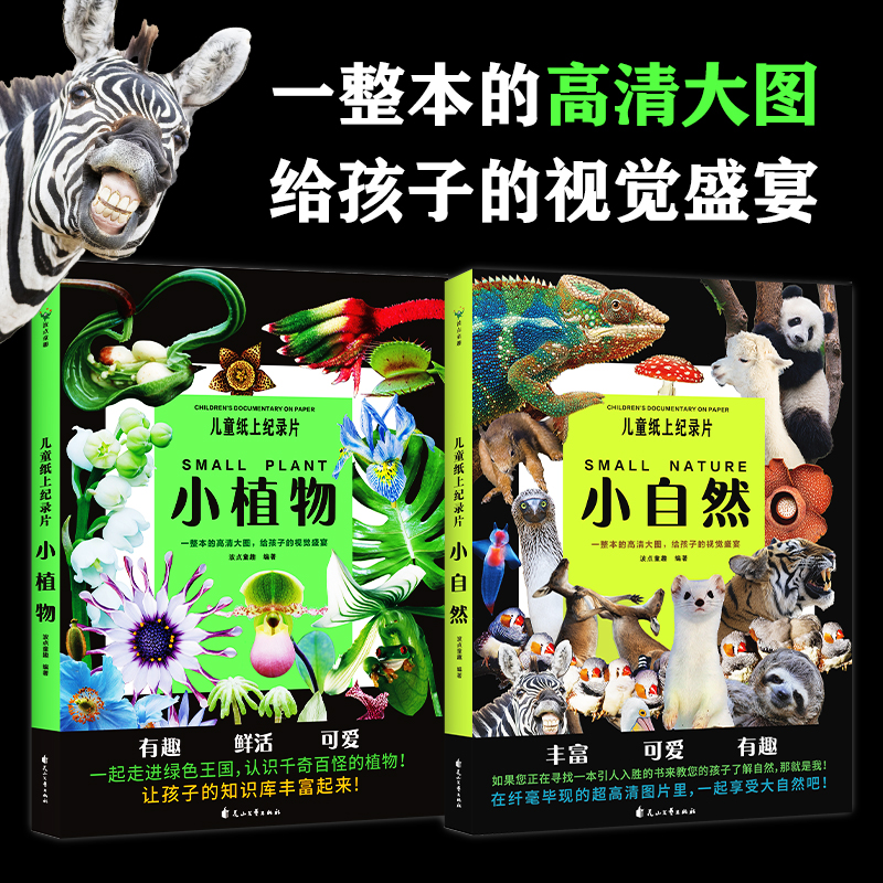 【全2册】儿童纸上纪录片：小植物+小自然 波点童趣 一整本的高清大图 给孩子的视觉盛宴 少儿科普绘本百科绘本漫画 官方正版图书