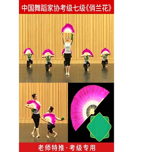 七级俏兰花扇子中国舞协考级八级安徽花鼓灯舞韵道具十级茶山放歌