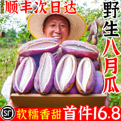 [顺丰包邮]野生八月瓜首件仅16.8