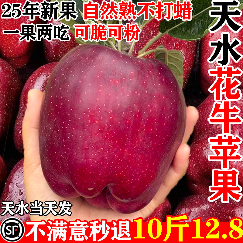 [顺丰包邮]天水花牛苹果10斤12.8