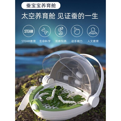 科学罐头蚕宝宝学生养蚕套装活物卵观察盒饲养小别墅太空养育舱