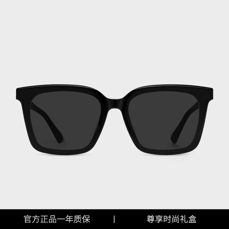 GM男女同款复古墨镜TEGA