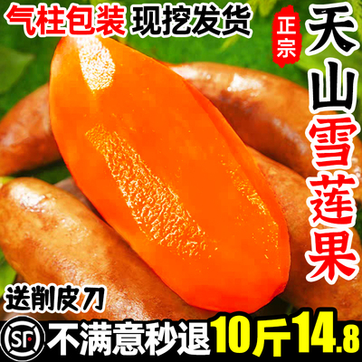 【顺丰】云南天山雪莲果10斤9.8