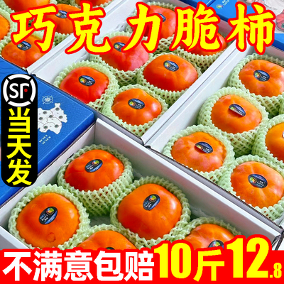 【顺丰】巧克力脆柿超值10斤16.8