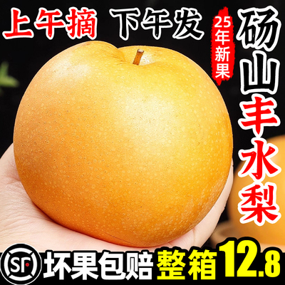 【顺丰】砀山丰水梨超值10斤12.8
