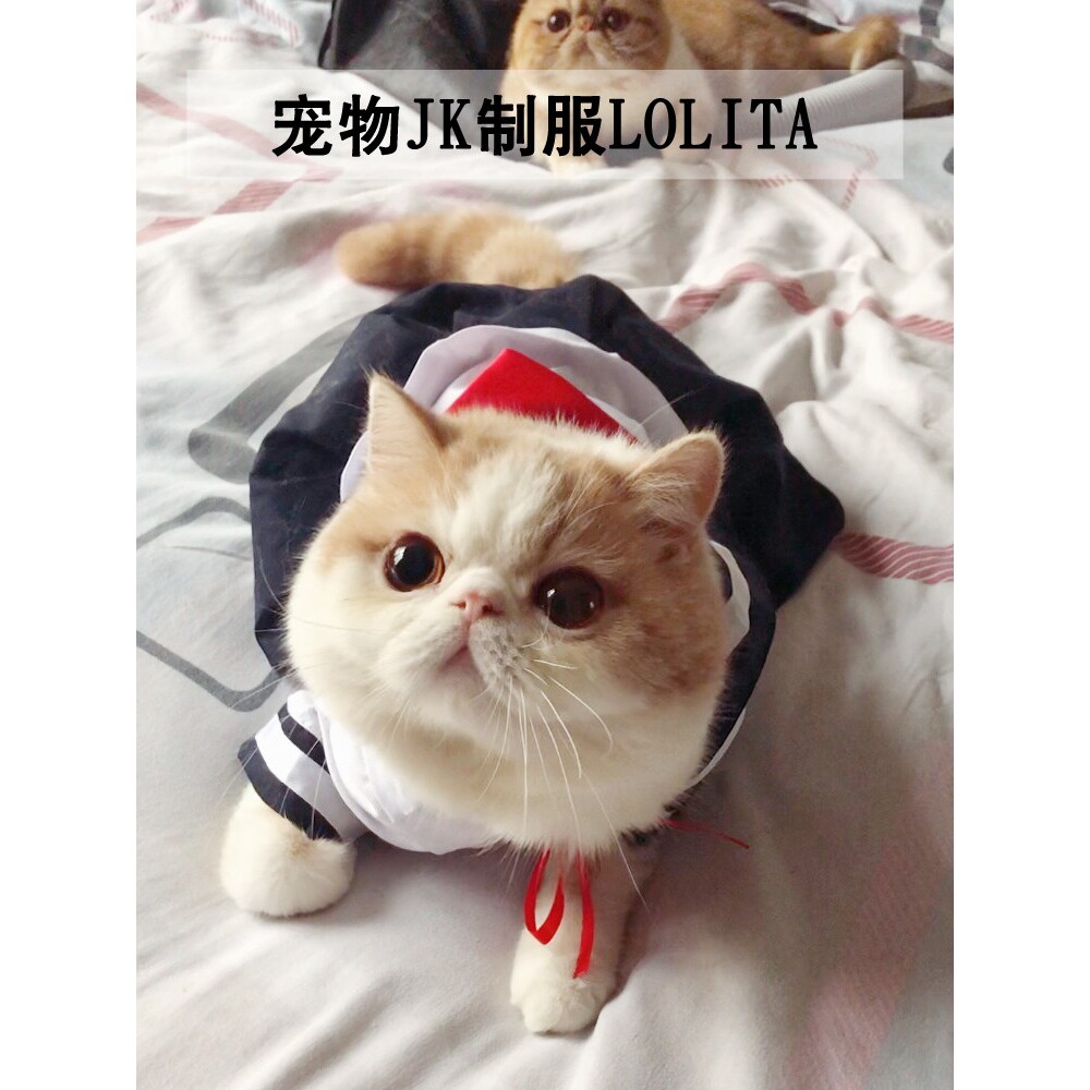 宠物公主裙猫咪狗狗兔子衣服猫裙子泰迪猫猫JK制服裙兔水手服小猫