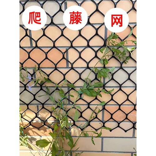 蔷薇爬藤网月季专用网花网格花架子球兰乌托邦花墙网格植物爬墙网