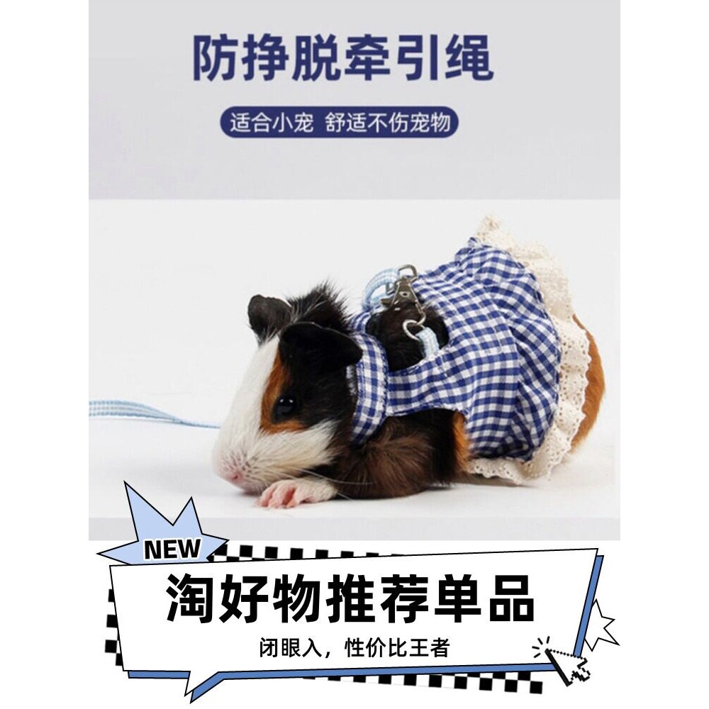 荷兰猪牵引绳专用防挣脱可调节龙猫雪貂豚鼠小衣服裙子遛兔子衣服