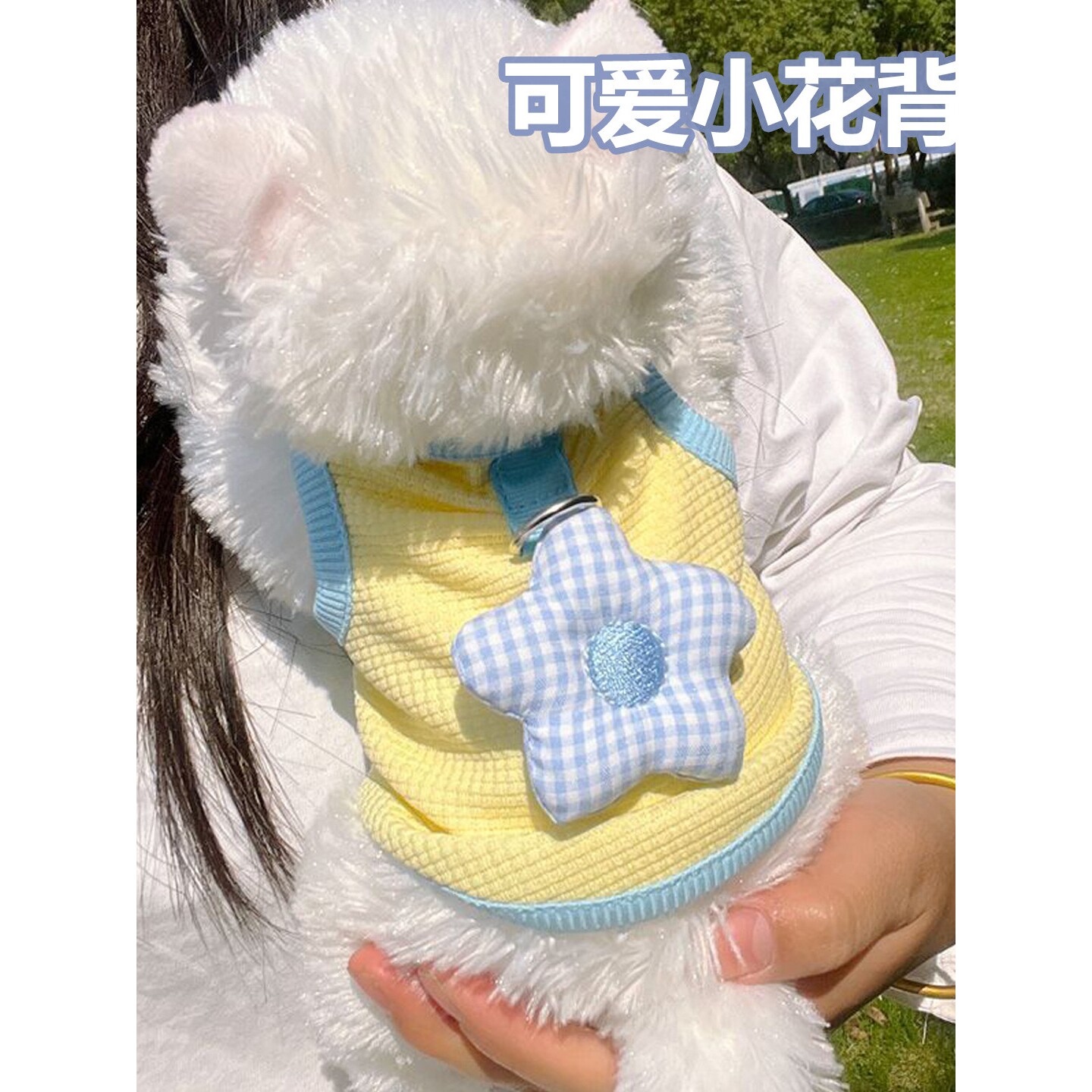 2026新款猫咪衣服小猫的冬装德文防掉毛布偶无毛猫专用背心可牵引