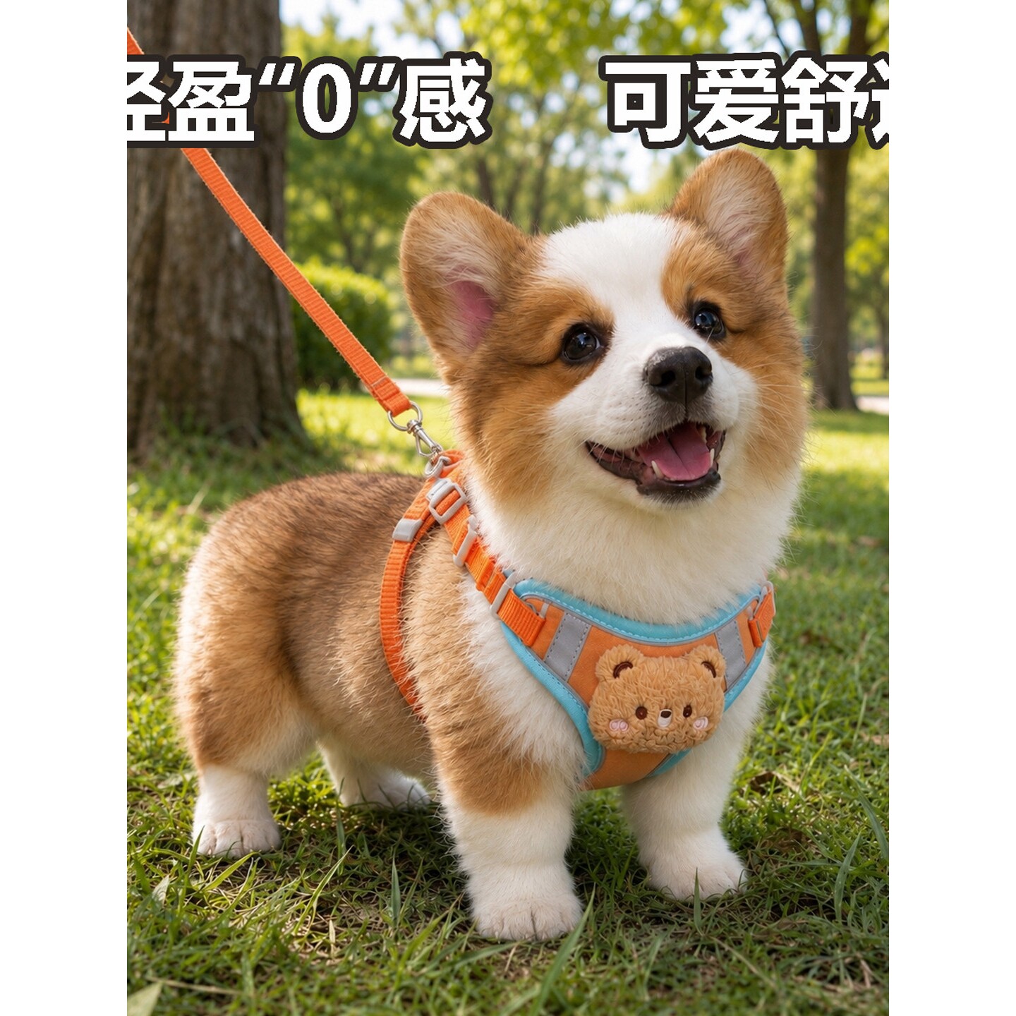 狗狗牵引绳胸背遛小狗的小中大型犬背带牵比熊背心式拴幼犬泰迪链