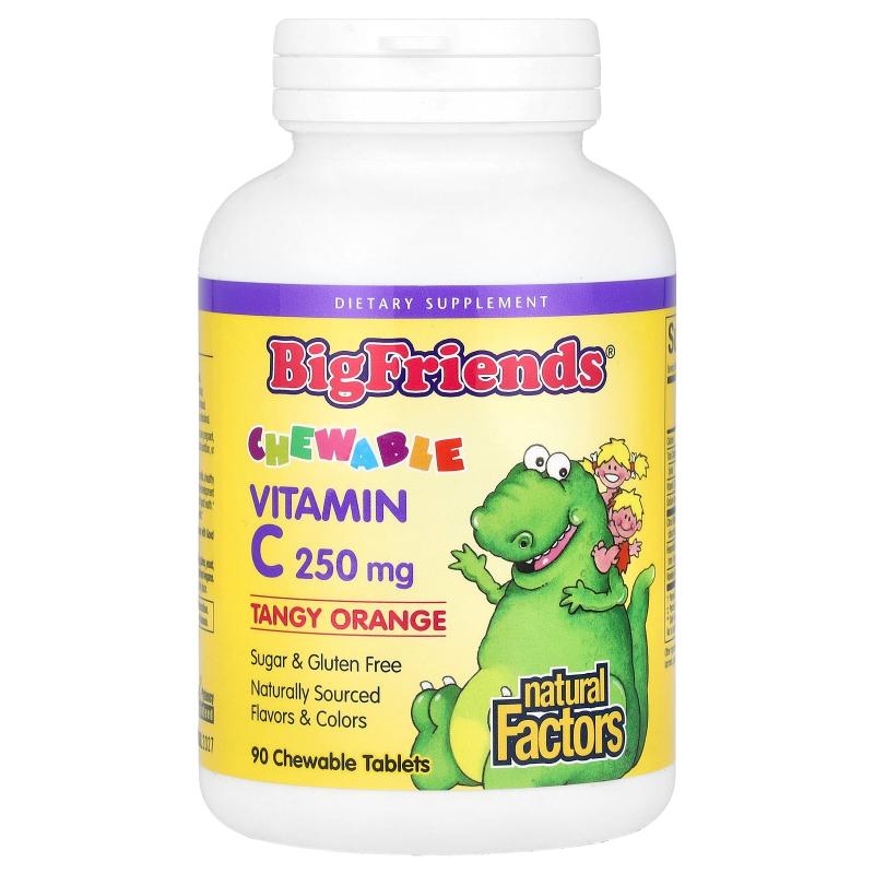 Natural Factors,BigFriends，维生素 C 咀嚼片，酸橙味，250 毫9