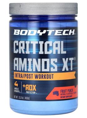 BodyTech,Critical Aminos XT，锻炼中/锻炼后，水果混合，15.9 4