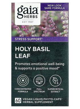 Gaia Herbs,圣罗勒叶，60 粒全素液体 Phyto-Caps® 胶囊