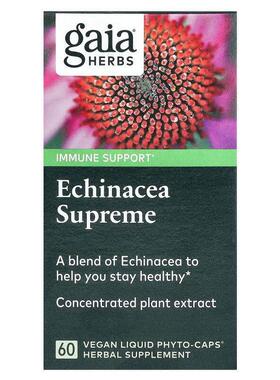 Gaia Herbs,优质紫雏菊补充剂，60 粒素食液体 Phyto-Caps 胶囊