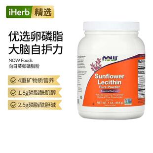 Now诺奥美国进口向日葵卵磷脂粉必需营养素天然磷脂酰胆碱及其他