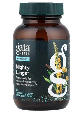 Gaia Herbs,Mighty Lungs™，60 粒液体 Phyto-Caps® 胶囊