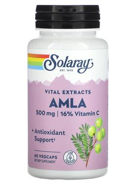 Solaray,重要提取物，AMLA，500 毫克，60 粒素食胶囊