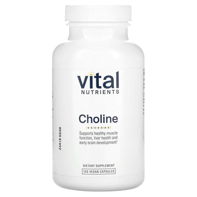Vital Nutrients,胆碱,550 毫克,120 粒全素胶囊(每粒胶囊 275