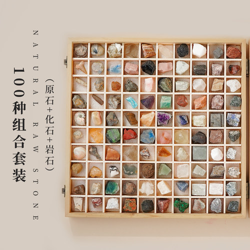 100种原石+化石+岩石组合套装