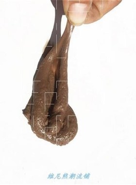 Realiic Shit Gift Funny Toys FakEe Poop Piece of Shit Pran