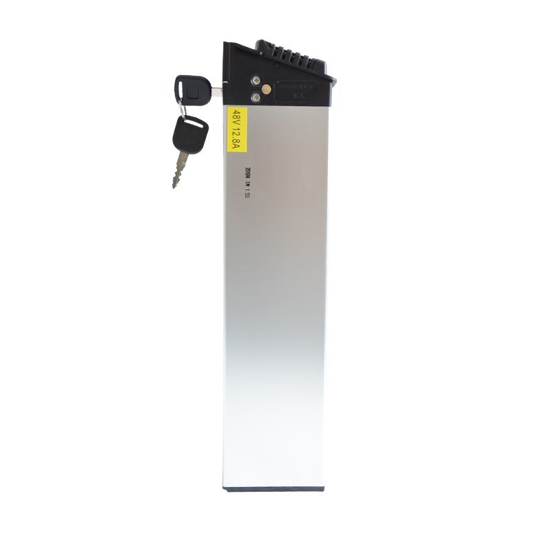 High Power 48 V 12.8AH Electric bicycle battery E-bike batte
