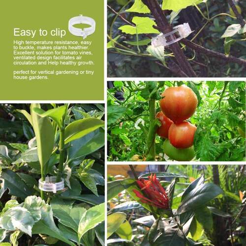 50pcs Reusable 2.5cm  Plastic Plant Support Clips clamps For