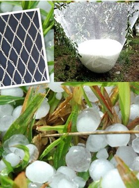 Nylon Anti-Hail Netting, Hail Protect Garden Netting Mesh Wh