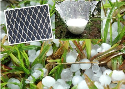 Nylon Anti-Hail Netting, Hail Protect Garden Netting Mesh Wh