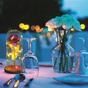 Enchanted Rose Beauty And The Beast LED Glass Dome Wood Bas