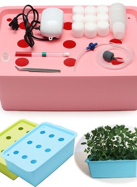 110V 9 Holes Hydroponic System Kit DWC Aerobic Soilless Cult