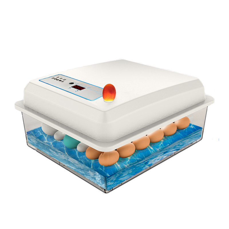 50 Eggs Incubator Egg Incubator Fully Automatic Incubator Ho
