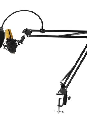 BM700 PC Microphone Studio Recording Professional Condenser