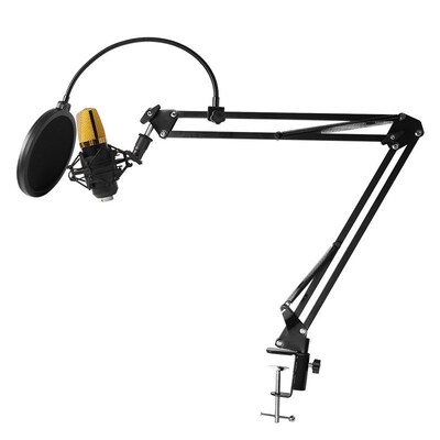 BM700 PC Microphone Studio Recording Professional Condenser