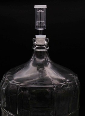 Airlock Carboy Snug Kit Homebrew Beer amp; Wine Glass Carboy