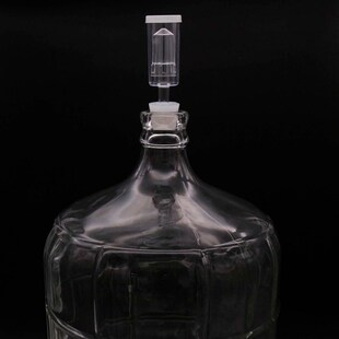 Airlock Carboy Snug Kit Homebrew Beer amp; Wine Glass Carboy