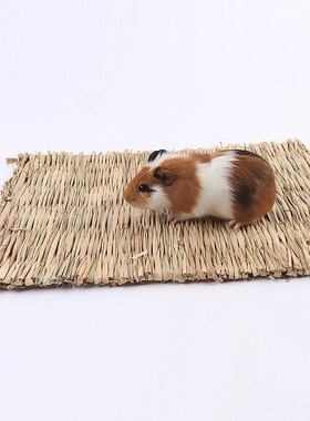 2020 Straw Mat Pet Hamster Rabbit Chewing Toy Grass Prepara