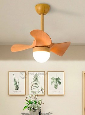 Modern small Ceiling fan lamp ceiling fans with light dining