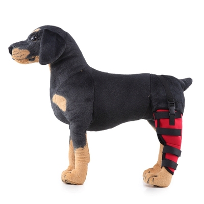 Pet Dog Leg Brace Right Left Leg Knee Hock Brace Bandages
