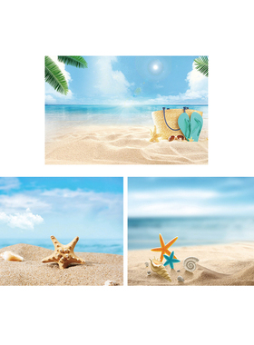 Background Photocall Sea Beach Layout Photo Shoot Background