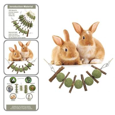 Rabbit Toys Chinchilla Toy Pet Teeth Grinding Toys For