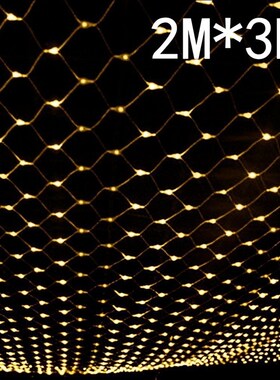 2mx3m 204 Led 8 modes 220V super bright net mesh string lig