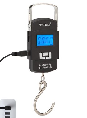55KG 10g SB Charging Electronic Digital Scale Hanging Hook F