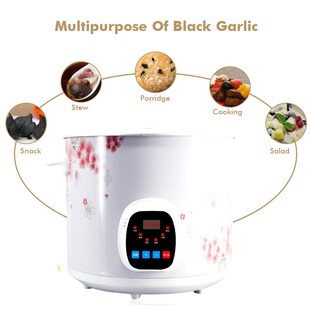 90W 6L Automatic Black Garlic Fermenter Household DIY Zymoly