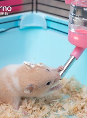 Hamster Drinking Kettle Drinker Rabbit My Neighbor Totoro