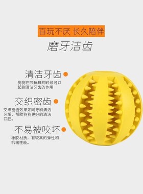 新款 Feeder feed ball leakage puzzle toy snacks dogs samoyed