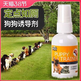Pet dog positioning defecation inducer toilet training agent