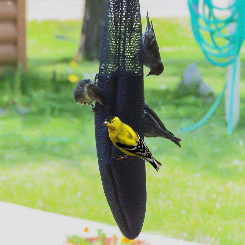 bird feeders seed bag outdoor bird feeder bird feeder bag