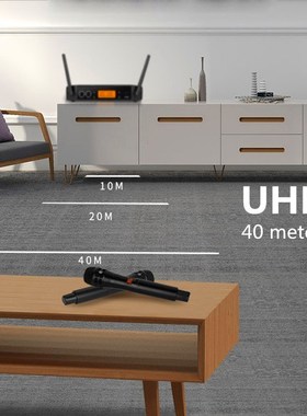 Finlemho Professional Microphone UHF Wireless Karaoke Dynam